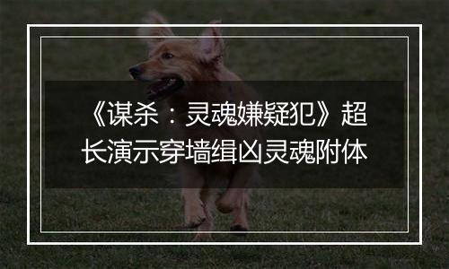 《谋杀：灵魂嫌疑犯》超长演示穿墙缉凶灵魂附体
