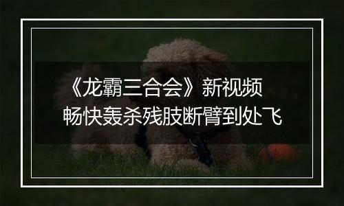 《龙霸三合会》新视频 畅快轰杀残肢断臂到处飞