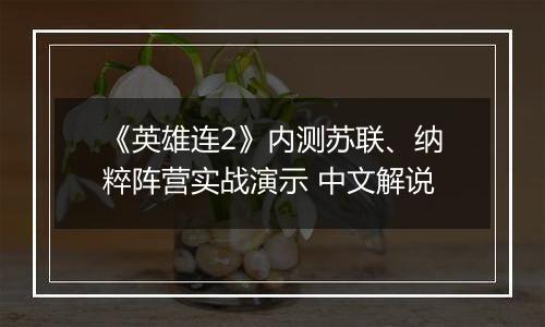 《英雄连2》内测苏联、纳粹阵营实战演示 中文解说