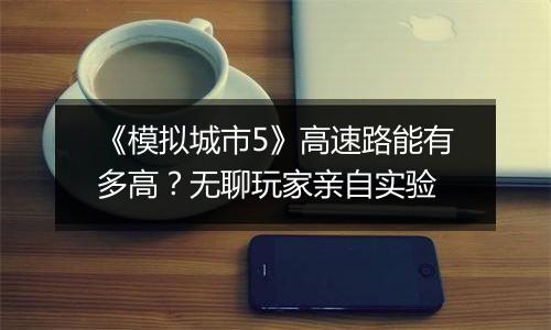 《模拟城市5》高速路能有多高？无聊玩家亲自实验