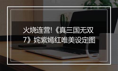 火烧连营!《真三国无双7》姹紫嫣红唯美设定图