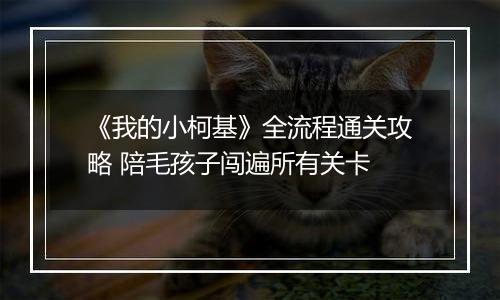 《我的小柯基》全流程通关攻略 陪毛孩子闯遍所有关卡