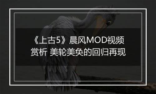 《上古5》晨风MOD视频赏析 美轮美奂的回归再现