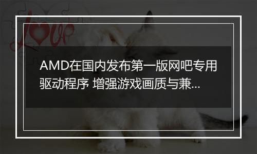 AMD在国内发布第一版网吧专用驱动程序 增强游戏画质与兼容性