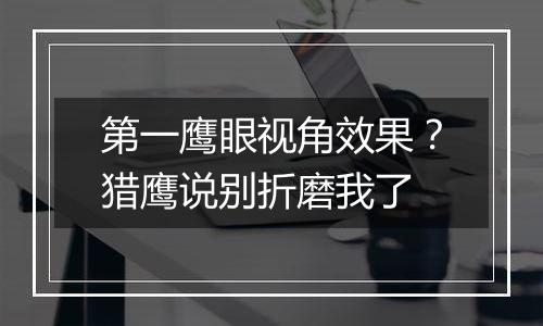 第一鹰眼视角效果？猎鹰说别折磨我了