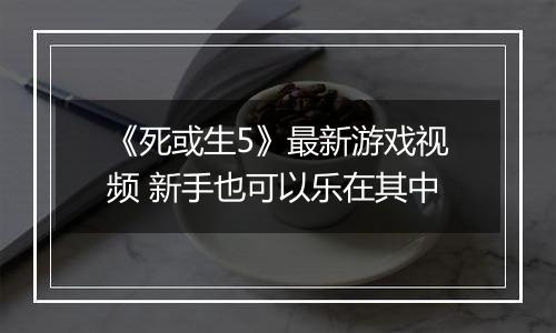 《死或生5》最新游戏视频 新手也可以乐在其中