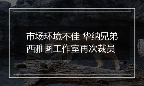 市场环境不佳 华纳兄弟西雅图工作室再次裁员