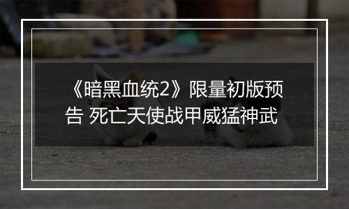 《暗黑血统2》限量初版预告 死亡天使战甲威猛神武