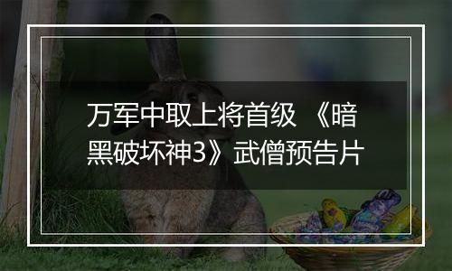 万军中取上将首级 《暗黑破坏神3》武僧预告片