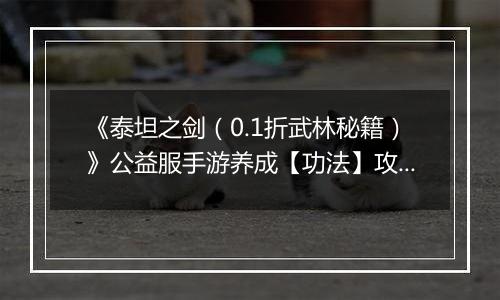 《泰坦之剑（0.1折武林秘籍）》公益服手游养成【功法】攻略