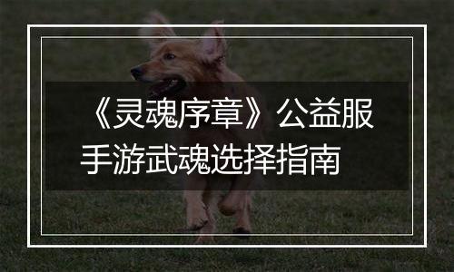 《灵魂序章》公益服手游武魂选择指南
