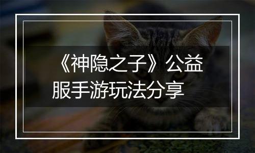 《神隐之子》公益服手游玩法分享