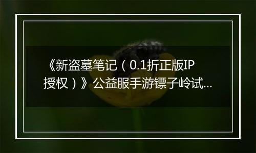 《新盗墓笔记（0.1折正版IP授权）》公益服手游镖子岭试炼开启！