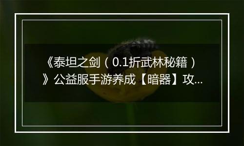 《泰坦之剑（0.1折武林秘籍）》公益服手游养成【暗器】攻略