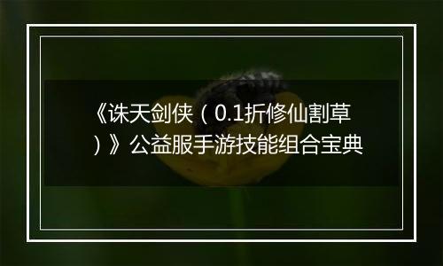 《诛天剑侠（0.1折修仙割草）》公益服手游技能组合宝典