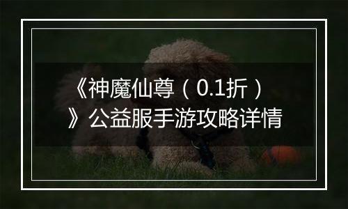 《神魔仙尊（0.1折）》公益服手游攻略详情