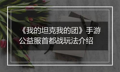 《我的坦克我的团》手游公益服首都战玩法介绍
