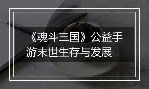 《魂斗三国》公益手游末世生存与发展