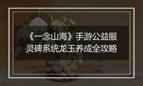 《一念山海》手游公益服灵碑系统龙玉养成全攻略