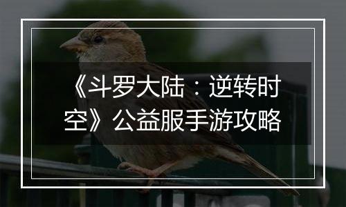 《斗罗大陆：逆转时空》公益服手游攻略