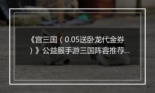 《宫三国（0.05送卧龙代金券）》公益服手游三国阵容推荐攻略