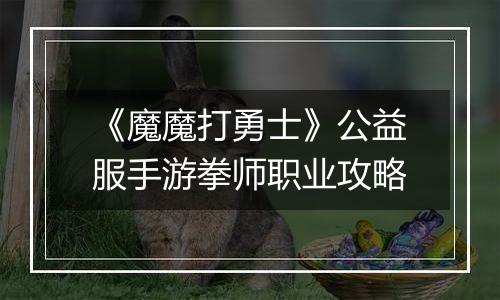 《魔魔打勇士》公益服手游拳师职业攻略