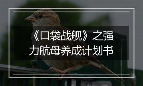 《口袋战舰》之强力航母养成计划书