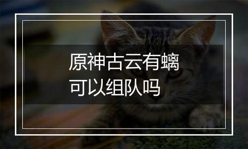 原神古云有螭可以组队吗