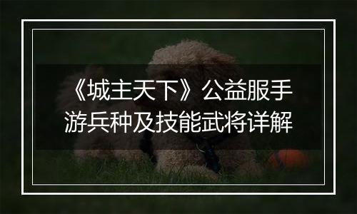 《城主天下》公益服手游兵种及技能武将详解