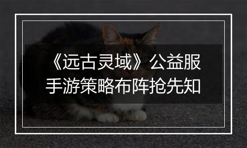 《远古灵域》公益服手游策略布阵抢先知