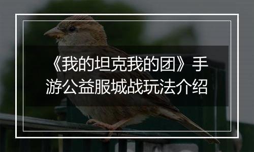 《我的坦克我的团》手游公益服城战玩法介绍