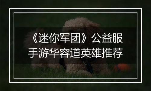 《迷你军团》公益服手游华容道英雄推荐