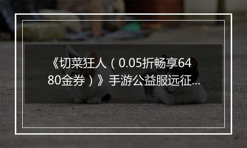 《切菜狂人（0.05折畅享6480金券）》手游公益服远征篇