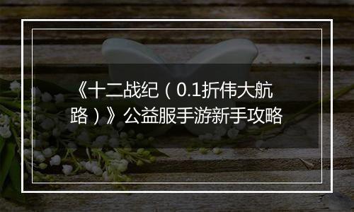 《十二战纪（0.1折伟大航路）》公益服手游新手攻略