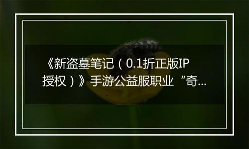 《新盗墓笔记（0.1折正版IP授权）》手游公益服职业“奇门”定位解析