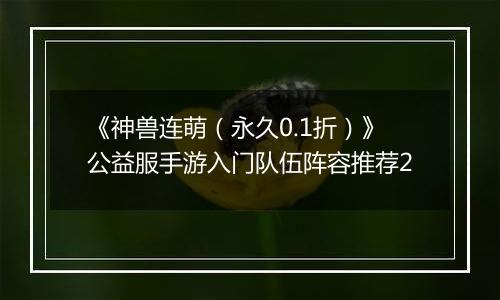 《神兽连萌（永久0.1折）》公益服手游入门队伍阵容推荐2