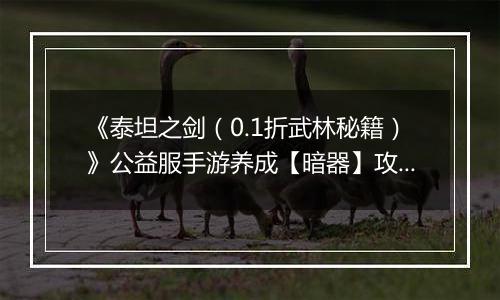 《泰坦之剑（0.1折武林秘籍）》公益服手游养成【暗器】攻略