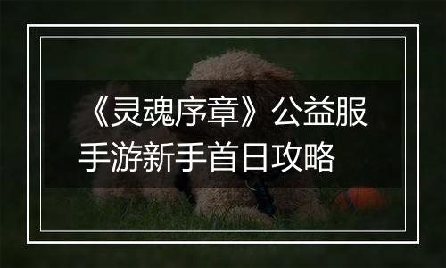 《灵魂序章》公益服手游新手首日攻略