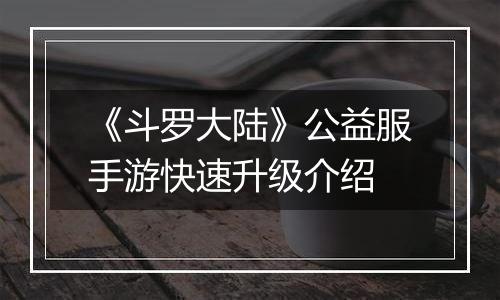 《斗罗大陆》公益服手游快速升级介绍