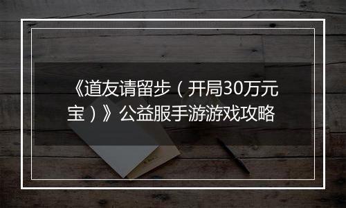 《道友请留步（开局30万元宝）》公益服手游游戏攻略
