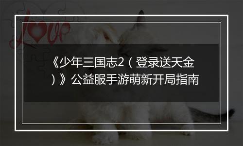 《少年三国志2（登录送天金）》公益服手游萌新开局指南