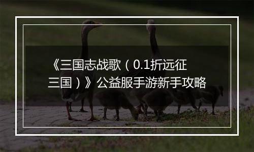 《三国志战歌（0.1折远征三国）》公益服手游新手攻略