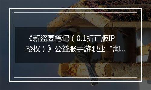 《新盗墓笔记（0.1折正版IP授权）》公益服手游职业“淘沙”技能定位解析