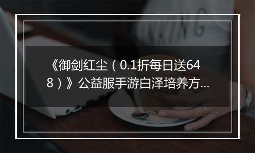 《御剑红尘（0.1折每日送648）》公益服手游白泽培养方案
