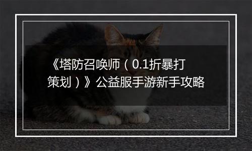 《塔防召唤师（0.1折暴打策划）》公益服手游新手攻略