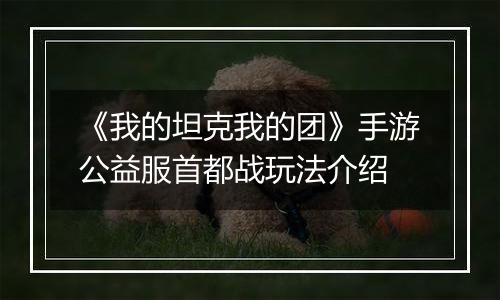 《我的坦克我的团》手游公益服首都战玩法介绍