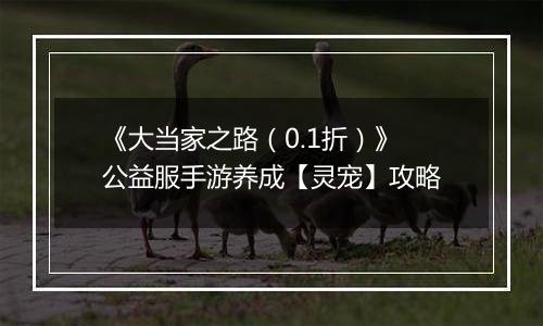 《大当家之路（0.1折）》公益服手游养成【灵宠】攻略