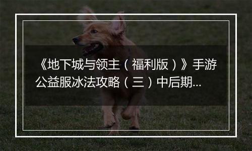 《地下城与领主（福利版）》手游公益服冰法攻略（三）中后期技能搭配