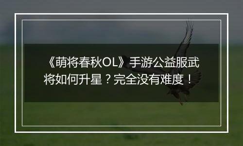 《萌将春秋OL》手游公益服武将如何升星？完全没有难度！