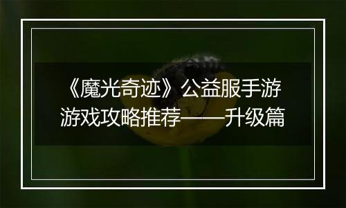 《魔光奇迹》公益服手游游戏攻略推荐——升级篇